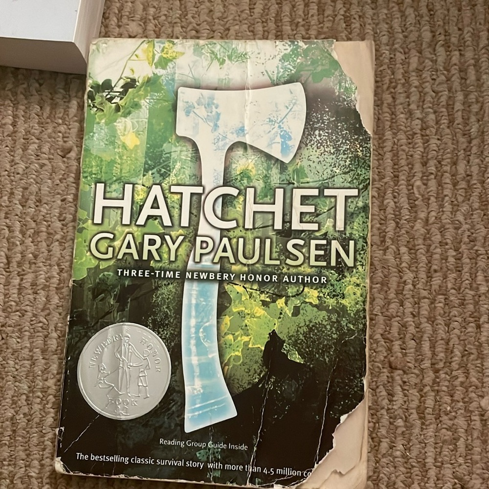 Hatchet by Gary Paulsen